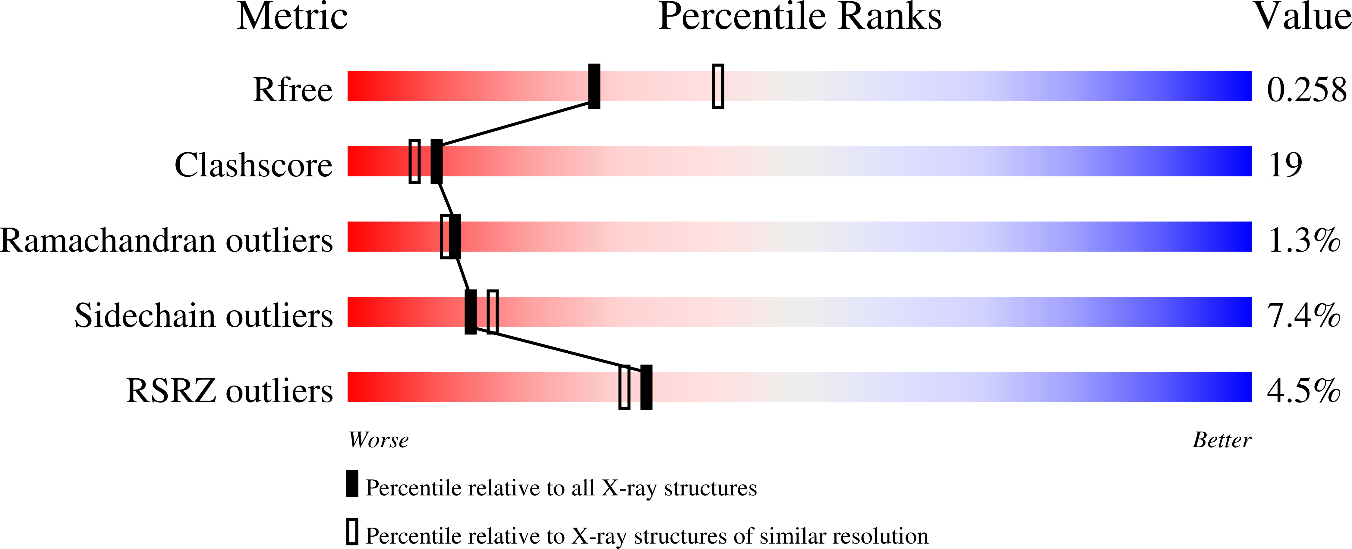 ribonucleotide reductase regulation