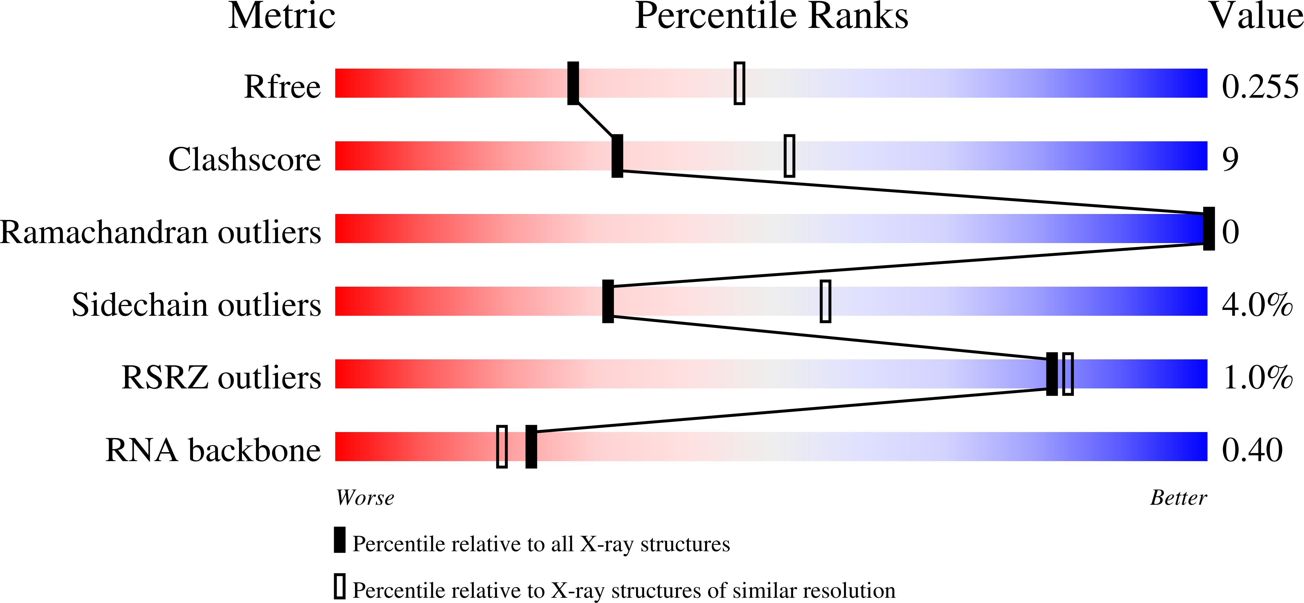 knight rank structure